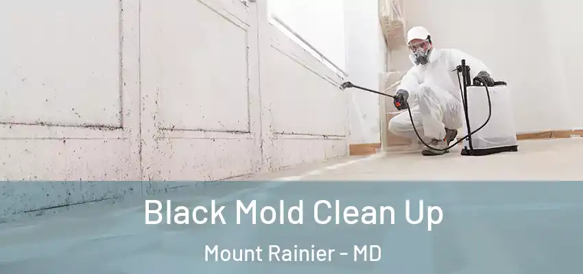  Black Mold Clean Up Mount Rainier - MD