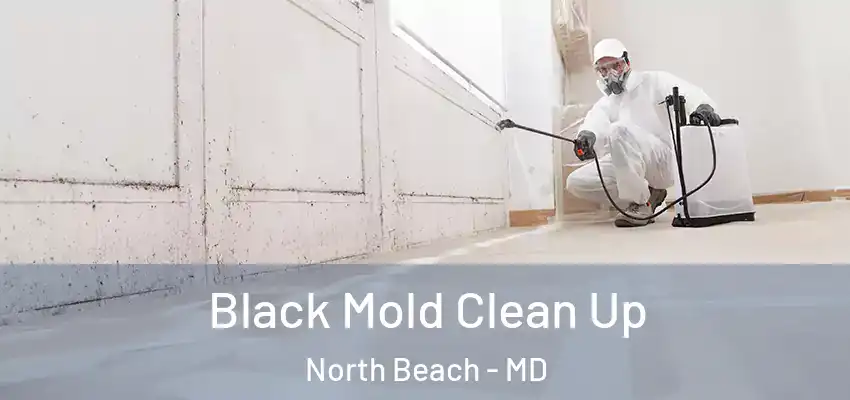 Black Mold Clean Up North Beach - MD