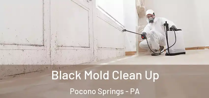 Black Mold Clean Up Pocono Springs - PA