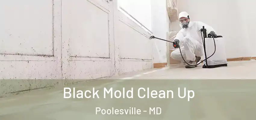 Black Mold Clean Up Poolesville - MD