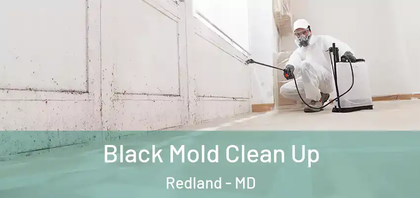 Black Mold Clean Up Redland - MD