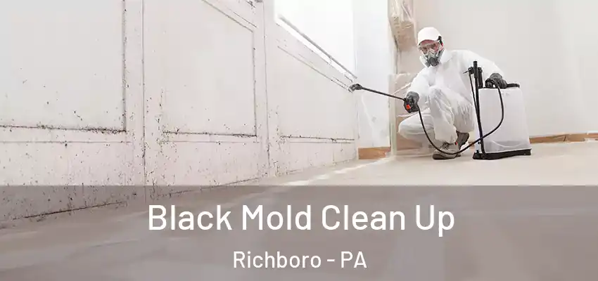 Black Mold Clean Up Richboro - PA