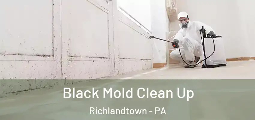Black Mold Clean Up Richlandtown - PA