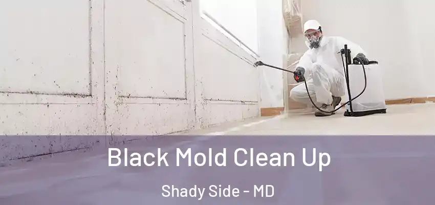  Black Mold Clean Up Shady Side - MD