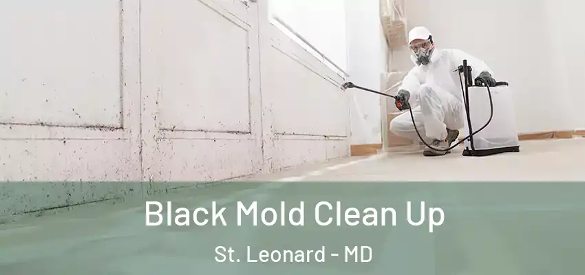 Black Mold Clean Up St. Leonard - MD