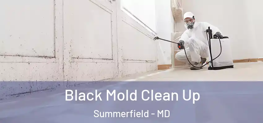 Black Mold Clean Up Summerfield - MD