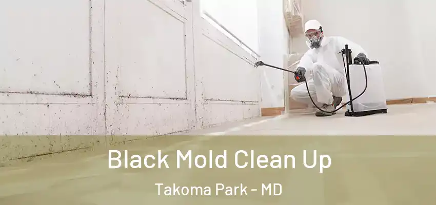 Black Mold Clean Up Takoma Park - MD