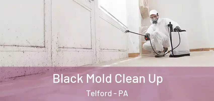 Black Mold Clean Up Telford - PA