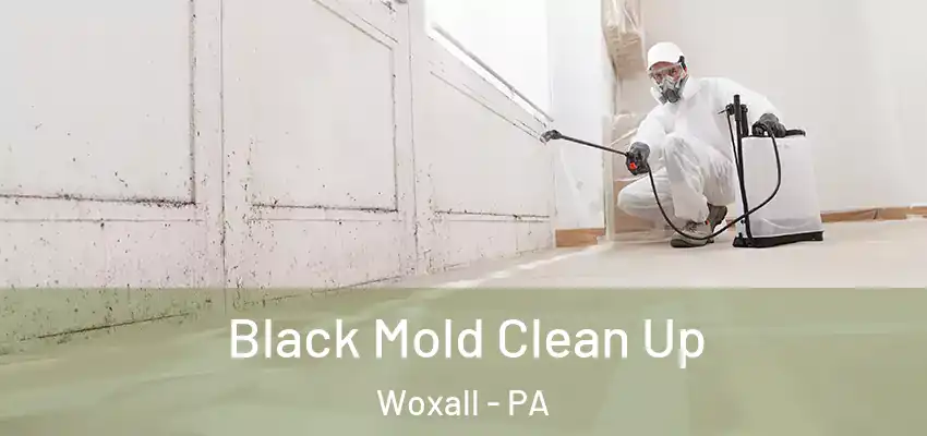 Black Mold Clean Up Woxall - PA