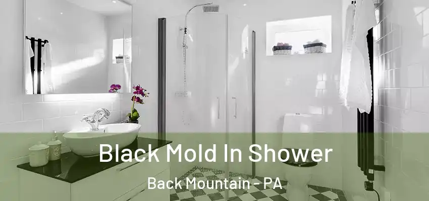  Black Mold In Shower Back Mountain - PA