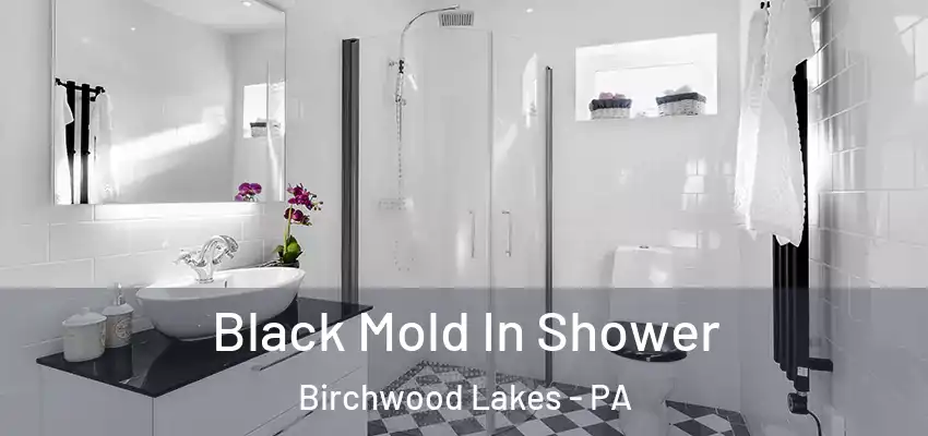 Black Mold In Shower Birchwood Lakes - PA