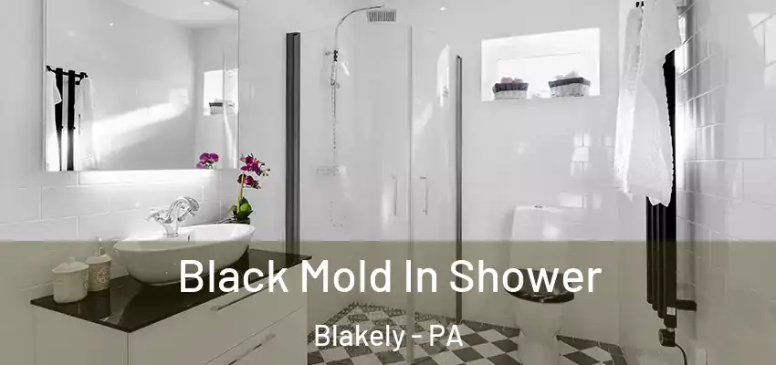 Black Mold In Shower Blakely - PA