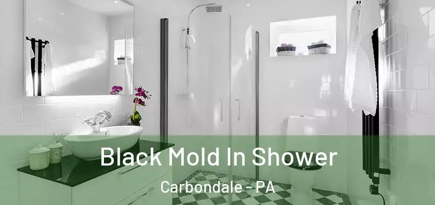 Black Mold In Shower Carbondale - PA