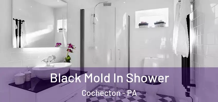 Black Mold In Shower Cochecton - PA
