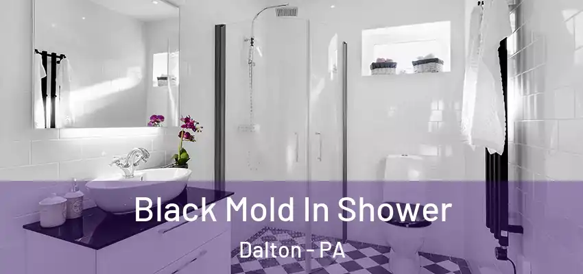 Black Mold In Shower Dalton - PA