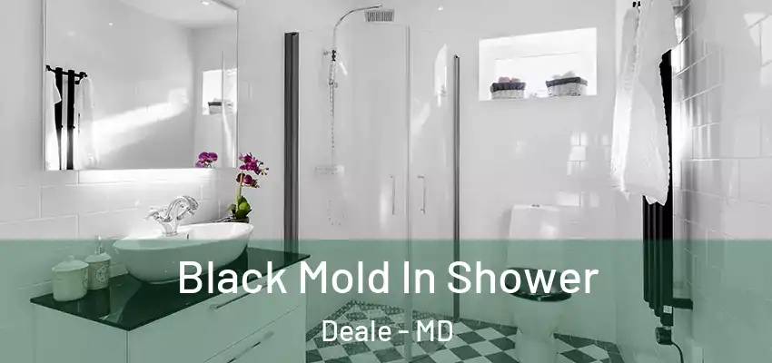 Black Mold In Shower Deale - MD