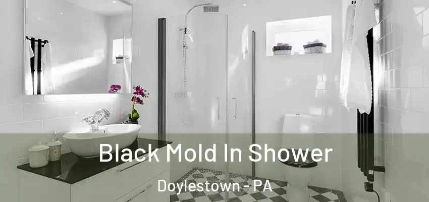Black Mold In Shower Doylestown - PA