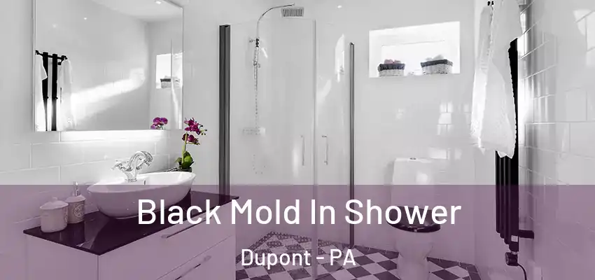 Black Mold In Shower Dupont - PA