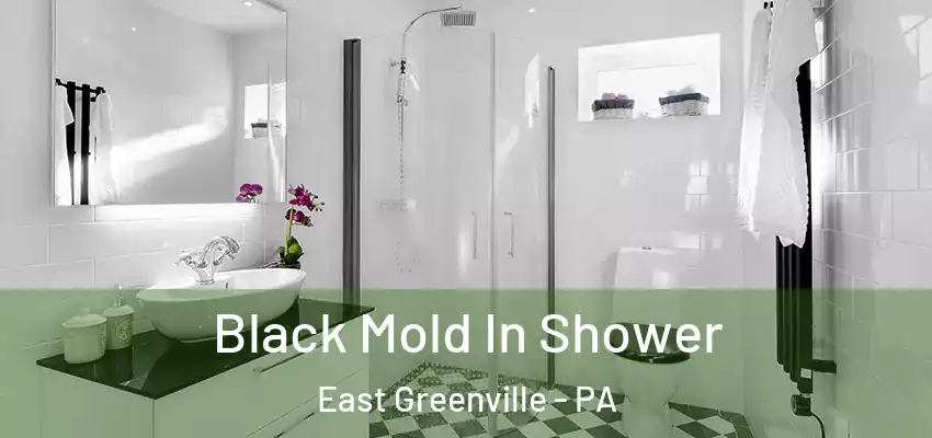 Black Mold In Shower East Greenville - PA