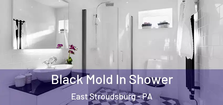 Black Mold In Shower East Stroudsburg - PA