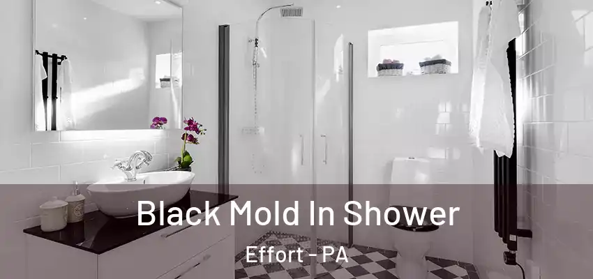 Black Mold In Shower Effort - PA