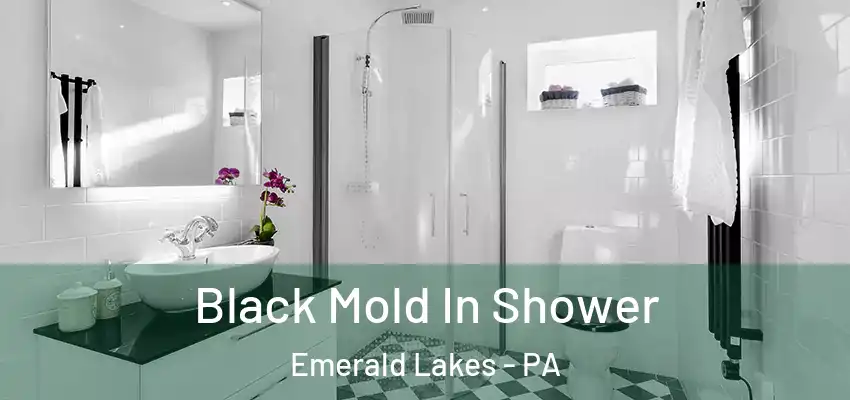 Black Mold In Shower Emerald Lakes - PA