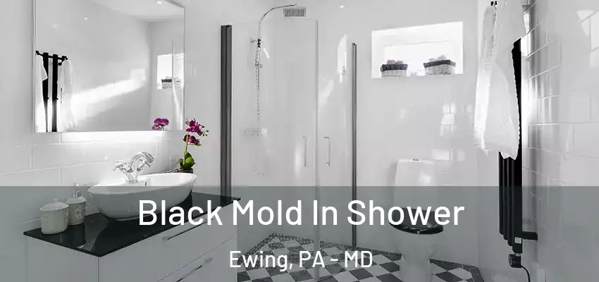 Black Mold In Shower Ewing, PA - MD