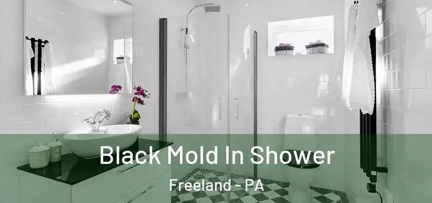 Black Mold In Shower Freeland - PA