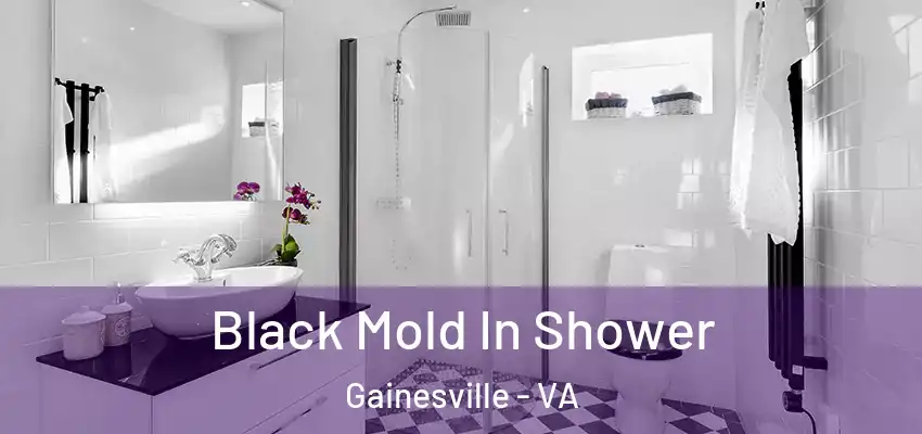 Black Mold In Shower Gainesville - VA