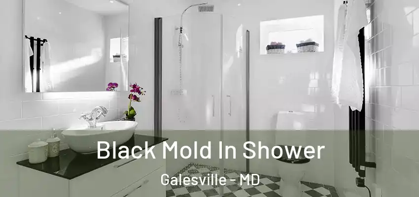 Black Mold In Shower Galesville - MD