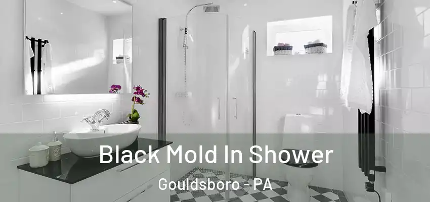 Black Mold In Shower Gouldsboro - PA