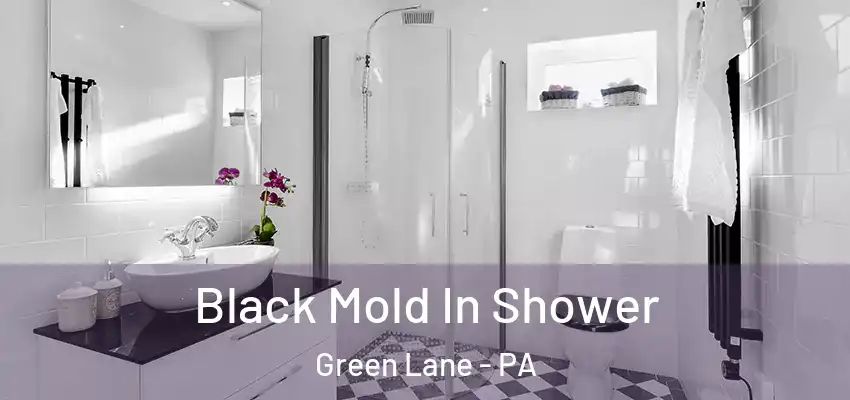 Black Mold In Shower Green Lane - PA