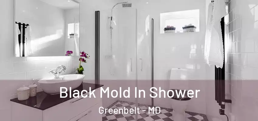 Black Mold In Shower Greenbelt - MD