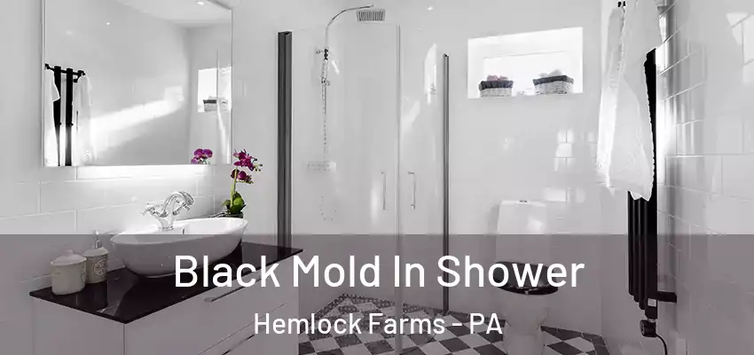 Black Mold In Shower Hemlock Farms - PA