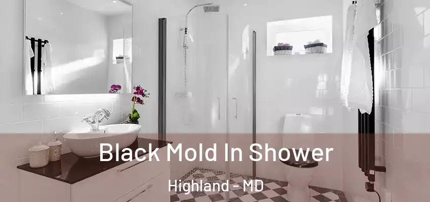 Black Mold In Shower Highland - MD