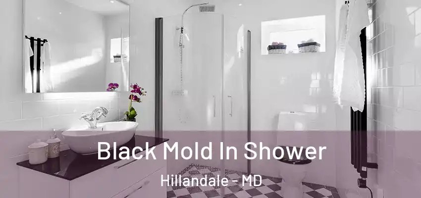 Black Mold In Shower Hillandale - MD