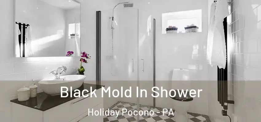 Black Mold In Shower Holiday Pocono - PA