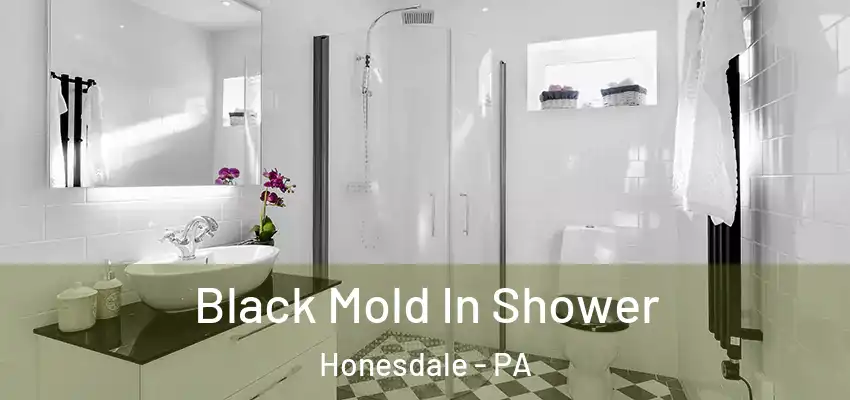 Black Mold In Shower Honesdale - PA