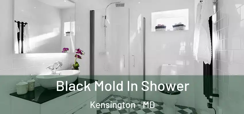 Black Mold In Shower Kensington - MD