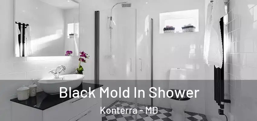 Black Mold In Shower Konterra - MD