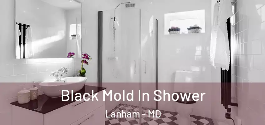 Black Mold In Shower Lanham - MD
