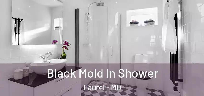  Black Mold In Shower Laurel - MD
