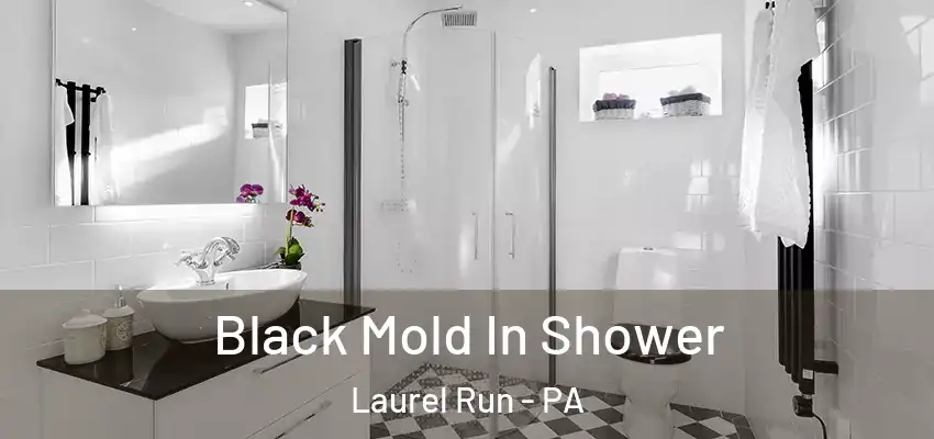 Black Mold In Shower Laurel Run - PA