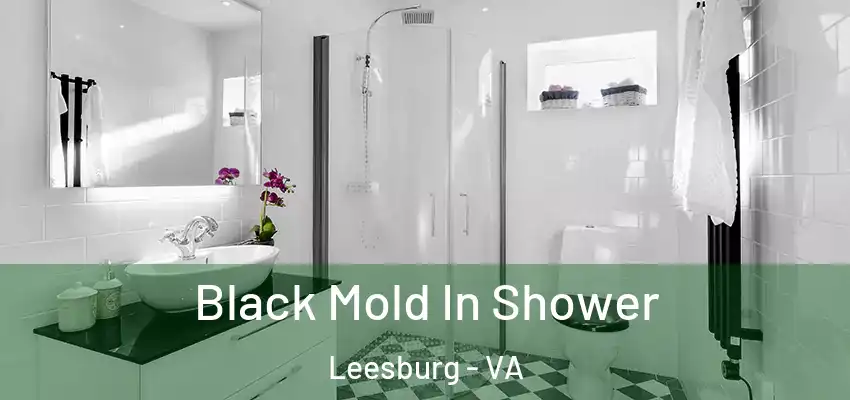 Black Mold In Shower Leesburg - VA