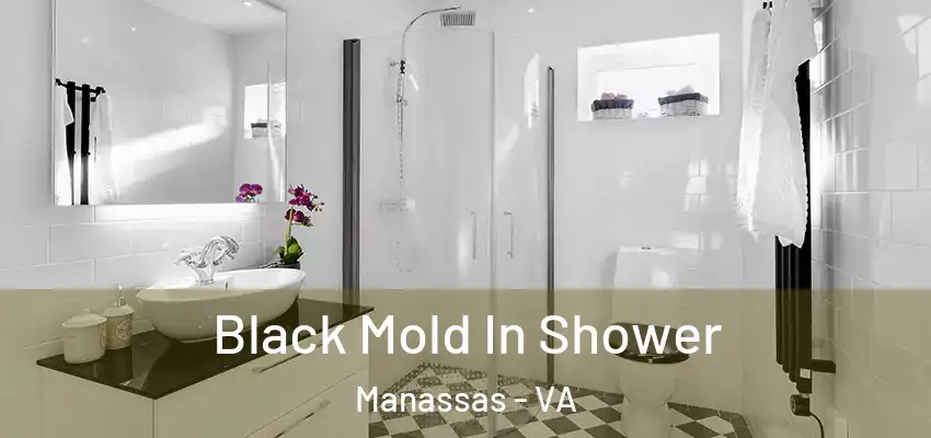Black Mold In Shower Manassas - VA