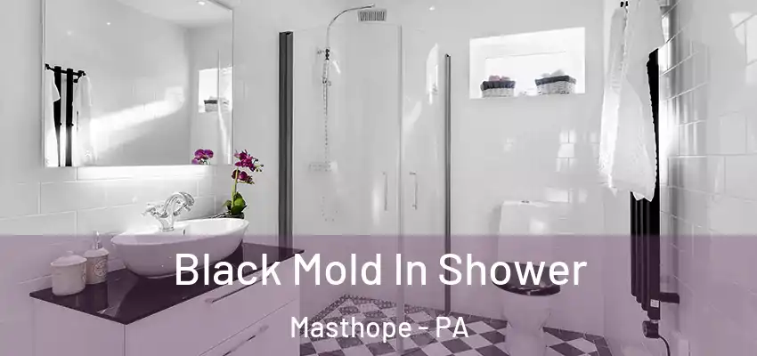 Black Mold In Shower Masthope - PA