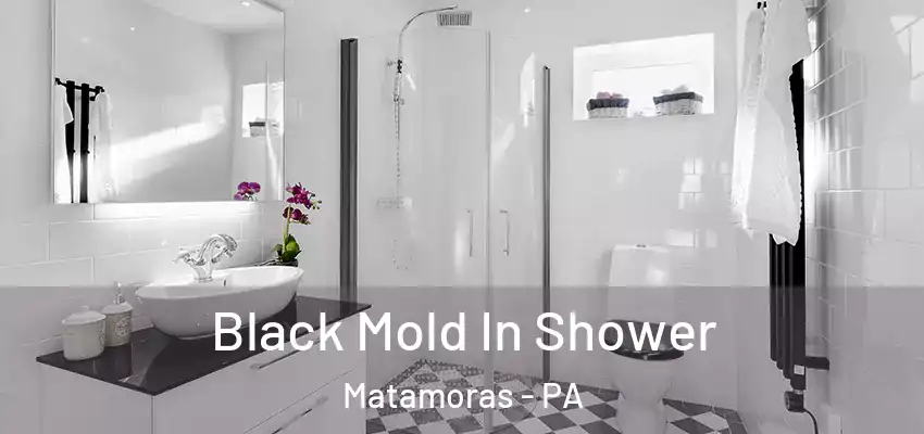 Black Mold In Shower Matamoras - PA