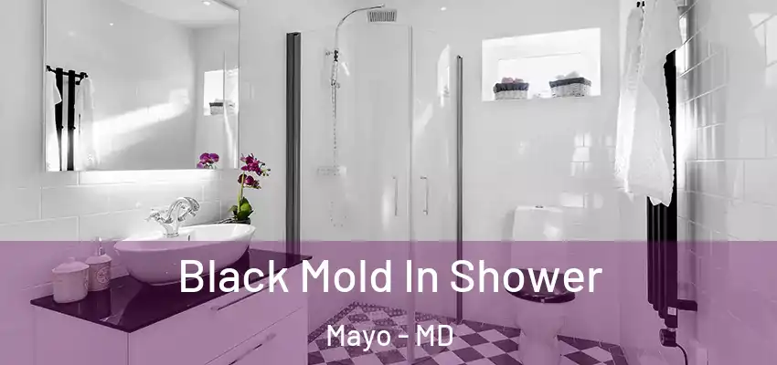 Black Mold In Shower Mayo - MD