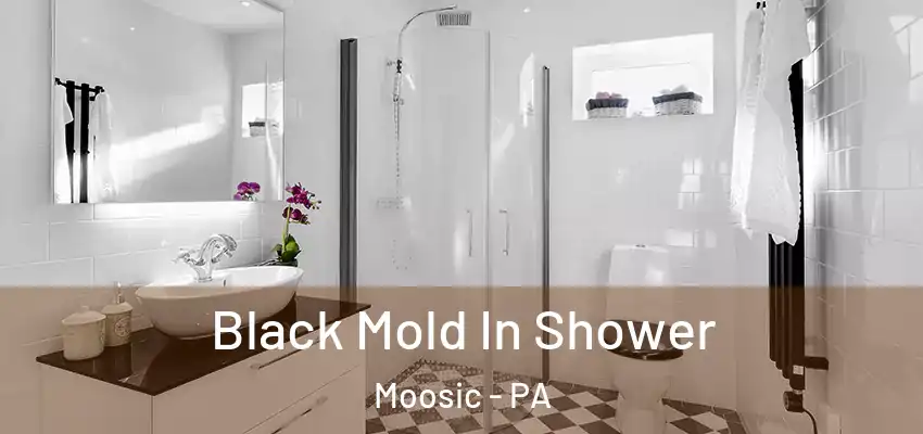 Black Mold In Shower Moosic - PA
