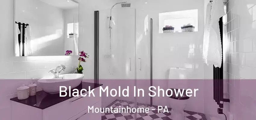 Black Mold In Shower Mountainhome - PA